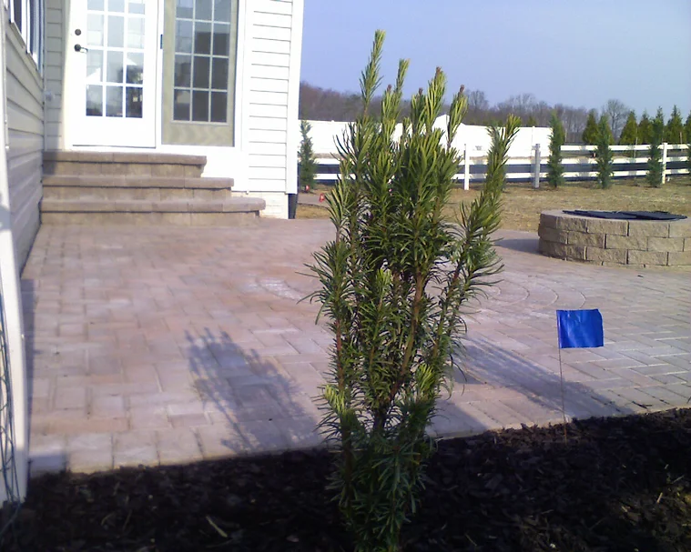 Paver Patio